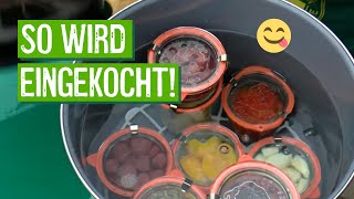 Wohin mit der Ernte Obst und Gemüse einkochen [upl. by Ailisab]