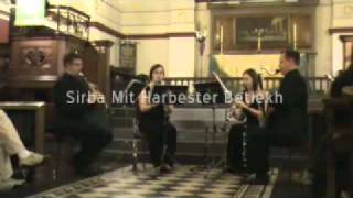 Lenny Sayers  Mazel Tov Klezmer Medley for Clarinet Quartet [upl. by Enyar]