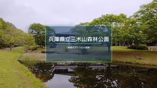 19春の【兵庫県立三木山森林公園】三木市 春の森林浴に最適な芝生と散策路のある公園 夏✕ [upl. by Burbank]