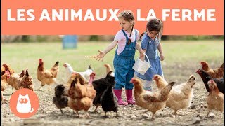 Les animaux de la ferme  leur cri leurs petits leur famille [upl. by Jyoti961]