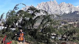 Mario Brunello nel bosco di Ronco a Cortina suona per i larici che stanno per essere abbattuti [upl. by Rawna]