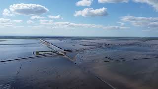 Flooding at Highway 43 and Avenue 56 east of Alpaugh Tularelake [upl. by Naxela]