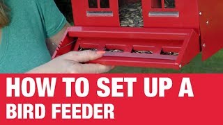 How To Set Up A Bird Feeder  Ace Hardware [upl. by Tirrej]