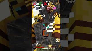 Dimensional Cave vs Falling Effect shorts meme minecraft [upl. by Selij926]