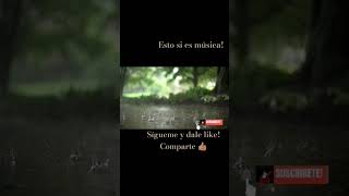 Cuando los sapos bailen flamenco musica music youtube [upl. by Nilra]