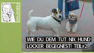 Wie Du dem TUT NIX HUND locker begegnest ➡️ Entspannte Hundebegegnungen an der Leine  Teil 2 🐶✔️ [upl. by Ardnaik]