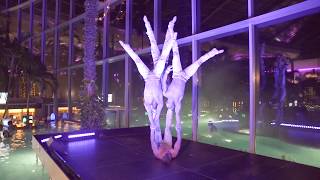 Akrobatik und Show zur Thermennacht  Thermen amp Badewelt Sinsheim [upl. by Saree]