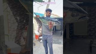 కర్నూల్ 10kg tuna fish డెలివరీ చేశానుviralreelstrendingreelsseafishseafishingramufishpacking [upl. by Curr]