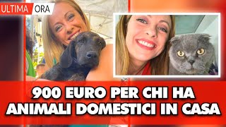 900€ a chi possiede animali domestici ecco come fare richiesta dal [upl. by Christine910]