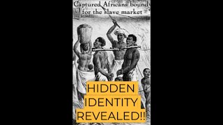 Critical 1700s Document Revealed True Identity of African Americans Documented [upl. by Celestyna]