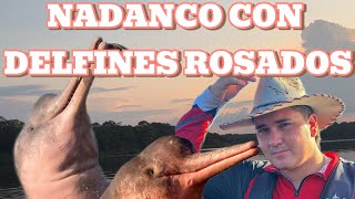 NADAR CON DELFINES ROSADOS “ÚNICA PARTE EN COLOMBIA”😱 [upl. by Onailimixam]