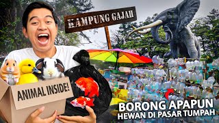 BELI APAPUN BINATANG DI PASAR TUMPAH KAMPUNG GAJAH TERBENGKALAI BANDUNG [upl. by Damal600]