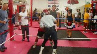 Boxing  Amateur vs Professional Sparring [upl. by Ladonna]