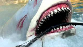 Jaws  The ride Universal Studios Orlando Florida [upl. by Vedi348]