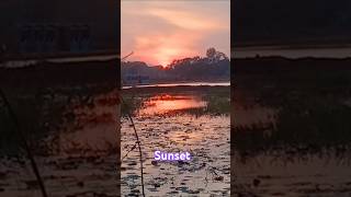 Sunset at Rural Sopheanymok nature shortvideo [upl. by Stanford641]