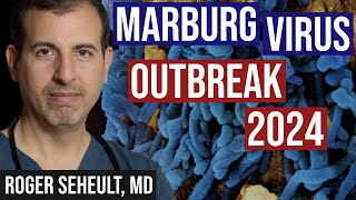 Marburg Outbreak 2024 Info and Vaccine Trial [upl. by Hunger]