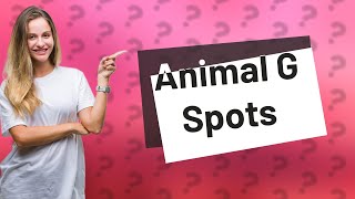 Do animals have G spots [upl. by Giavani567]