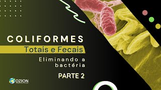 Como eliminar coliforme total e fecal E coli parte2 [upl. by Rissa823]