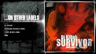 DJ Killah  Survivor Placid K rmx [upl. by Ordnasela]