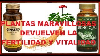 MARAVILLOSAS PLANTAS QUE TE DEVUELVEN LA VITALIDADREMEDIOS CASEROS NATURALES EFECTIVOS [upl. by Tselec]