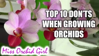 Top 10 DONTs when Growing Orchids  tips for orchid beginners [upl. by Thapa575]