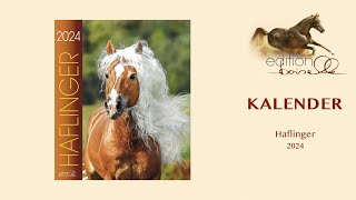 Haflinger Kalender 2024 [upl. by Eeliram524]