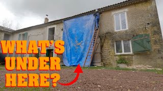 No wall for 5 months Weatherproof at last  Renovating our 100 year old French house  Episode 22 [upl. by Fillender398]