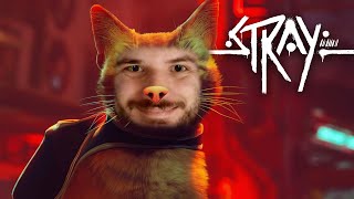 O JOGO DO GATO QUE TÁ TODO MUNDO JOGANDO  Stray [upl. by Joung]