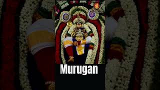 Murugan devotional video murugan youtube [upl. by Zurciram]