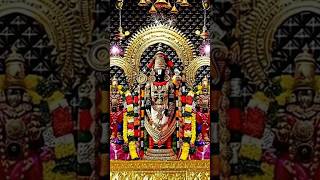 Lord Venkateswara song  annamayya tirumala balaji shorts music youtubeshorts yt bhaktisongs [upl. by Halladba291]