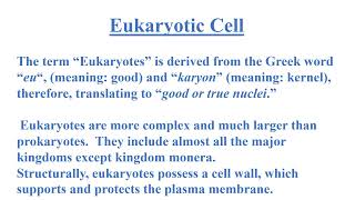 Difference between Prokaryotic and Eukaryotic Cells Video No 518 [upl. by Anyer890]