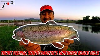 Trout Fishing South Dakotas Northern Black Hills [upl. by Ming]