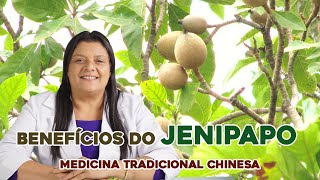 Os Benefícios do Jenipapo  MTC Dicas de Saúde [upl. by Phillip]