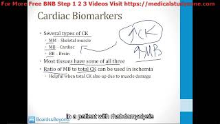 076  Cardiac Ischemia  Unstable AnginaNSTEMI [upl. by Licna297]