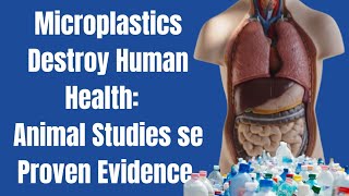 Do microplastics effect human health gut health guthealth [upl. by Alana]