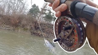 How to catch BIG steelhead in SHALLOW water  Centerpin Fishing [upl. by Leihcim]