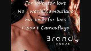 Brandy Camouflage with lyrics [upl. by Yort]