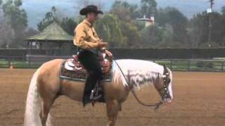 Reining 101  Andrea Fappani [upl. by Mylan]