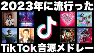 【TikTok】全部歌えたら依存性！？2023年に流行ったTikTok音源メドレー！【最後には・・・】 [upl. by Dnomse]