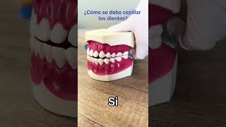 Cepillado correcto de dientes humor dentista dientes tipsdentales dentistry cuidadodental [upl. by Hnim]