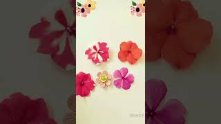 Flower dance flowers stopmotionanimation stopmotion flowerart flower [upl. by Kussell]