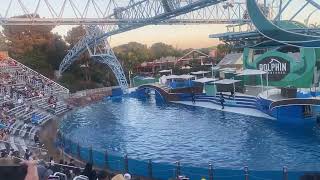 Dolphin does Summersalt at Seaworld [upl. by Humfried447]