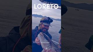 Yellowtail fishing in Loreto Mexico [upl. by Raynard]