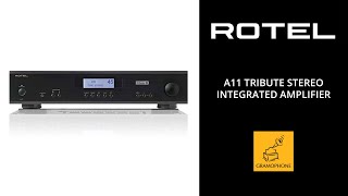 Rotel A11 Tribute Stereo Integrated Amplifier  Amazing Analog Amp For UNDER 1000 [upl. by Poul]