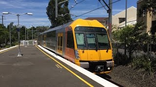 Sydney Trains Vlog 732 Pymble Part 2 [upl. by Saber]