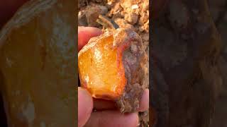 Finding Natural Carnelian Gemstone At The Mountain quartz quartzlover crystals beach gemstone [upl. by Ecinerev]