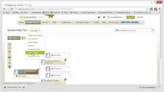 Importing an Ancestry Family Tree into RootsMagic [upl. by Roseanne328]