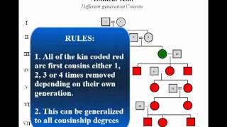 Kinship Relationships Identification and Classification [upl. by Nylknarf]