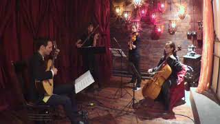 The Girl with the Flaxen Hair by Claude Debussy  Classical Guitar amp String Trio [upl. by Tail]