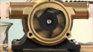 How a Jabsco Flexible Impeller Pump Works [upl. by Fredkin]